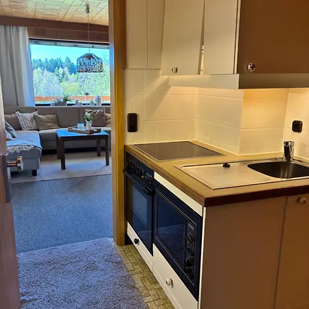 Wander-appartement Im Fichtelgebirge Apartment Brand